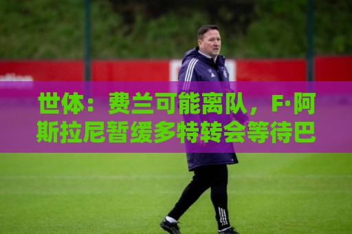 世体:费兰可能离队,F·阿斯拉尼暂缓多特转会等待巴萨 世体:费兰可能离队,F·阿斯拉尼暂缓多特转会等待巴萨