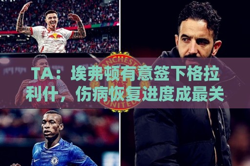 TA:埃弗顿有意签下格拉利什,伤病恢复进度成最关键变量 TA:埃弗顿有意签下格拉利什,伤病恢复进度成最关键变量