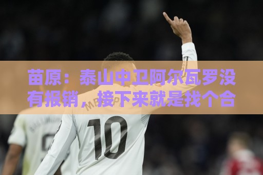 苗原:泰山中卫阿尔瓦罗没有报销,接下来就是找个合适的机会复出 苗原:泰山中卫阿尔瓦罗没有报销,接下来就是找个合适的机会复出
