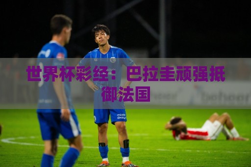 世界杯彩经:巴拉圭顽强抵御法国 世界杯彩经:巴拉圭顽强抵御法国