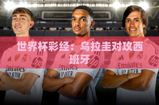 世界杯彩经:乌拉圭对攻西班牙 世界杯彩经:乌拉圭对攻西班牙
