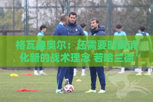 格瓦迪奥尔:还需要时间消化新的战术理念 若哈兰德能来会更好玩 格瓦迪奥尔:还需要时间消化新的战术理念 若哈兰德能来会更好玩