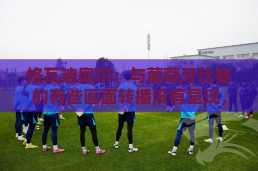 格瓦迪奥尔:与葡萄牙比赛的有些画面转播没有呈现,只能接受现实 格瓦迪奥尔:与葡萄牙比赛的有些画面转播没有呈现,只能接受现实