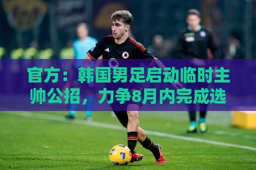 官方:韩国男足启动临时主帅公招,力争8月内完成选帅 官方:韩国男足启动临时主帅公招,力争8月内完成选帅
