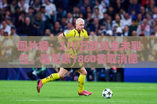 图片报:270万欧资金未到位,慕尼黑1860被取消德丙参赛资格 图片报:270万欧资金未到位,慕尼黑1860被取消德丙参赛资格