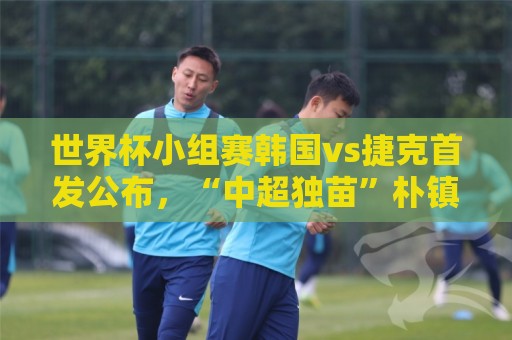世界杯小组赛韩国vs捷克首发公布,“中超独苗”朴镇燮替补待命 世界杯小组赛韩国vs捷克首发公布,“中超独苗”朴镇燮替补待命