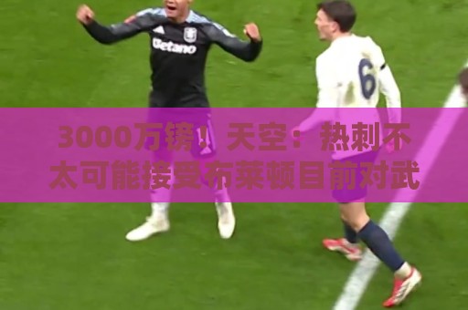 3000万镑!天空:热刺不太可能接受布莱顿目前对武什科维奇的报价 3000万镑!天空:热刺不太可能接受布莱顿目前对武什科维奇的报价